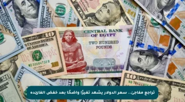 تراجع مفاجئ.. سعر الدولار يشهد تغيرًا واضحًا بعد خفض الفائدة
